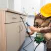 Identifying and Eliminating Common Household Pests